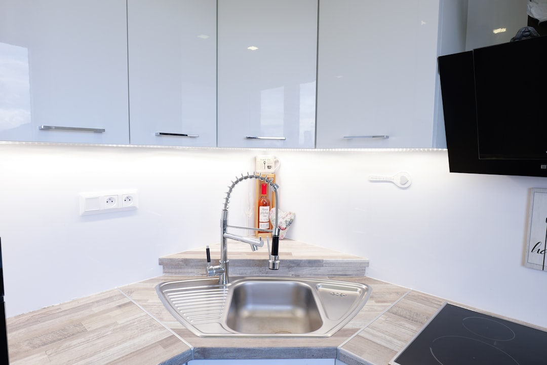 Don't Lose Your Deposit with These Renter Friendly Water Filters